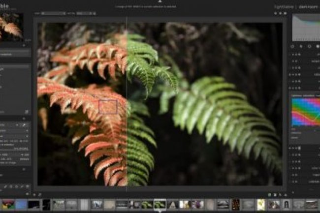 Darktable v4.4.1