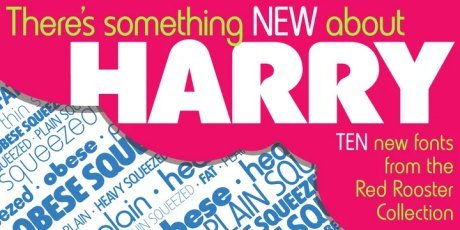 Harry Pro Font Family