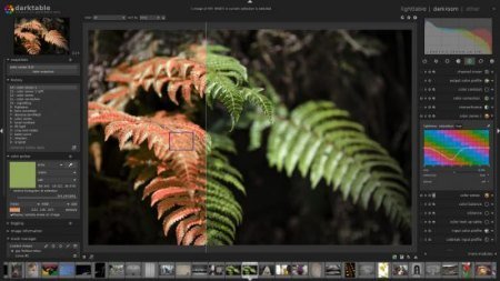 Darktable v4.4.1