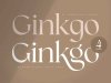 Ginkgo - Modern Classy Serif Font