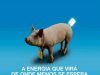 Globo Rural Ed 428 - Agosto 2021