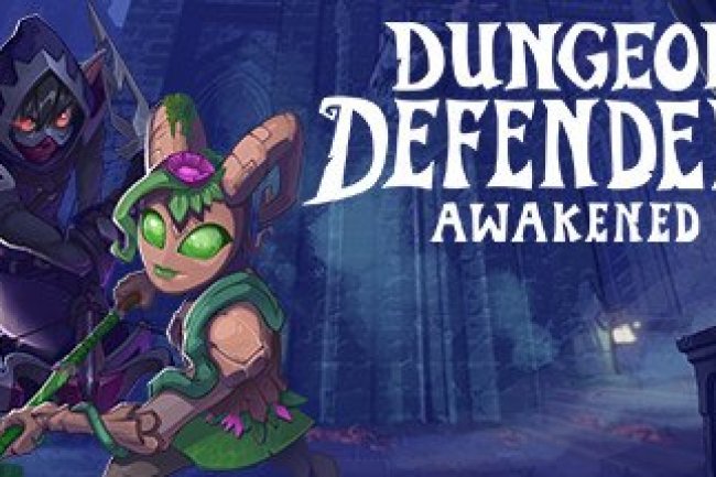 Dungeon Defenders: Awakened
