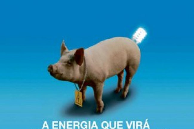 Globo Rural Ed 428 - Agosto 2021