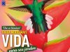 Natureza Ed 404