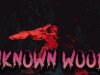 Unknown Woods