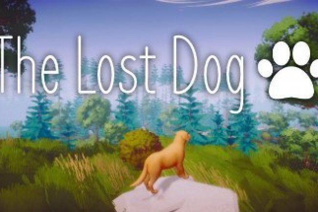 The Lost Dog