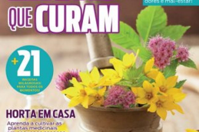 Vivendo com Qualidade Ed 27