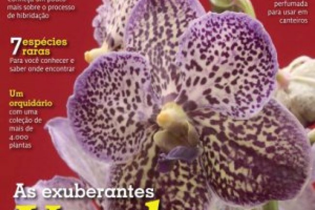 Orquídeas da Natureza Ed 05