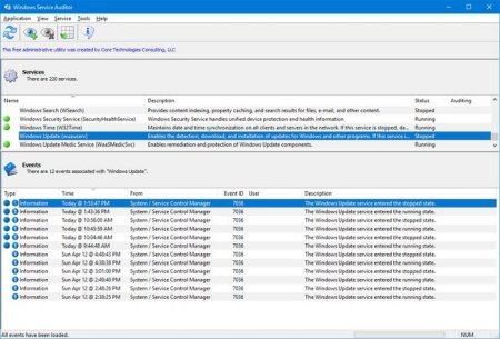 Windows Service Auditor 3.0.2.87