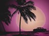 Nick Leroy - Palm Highway [EP] (2020)