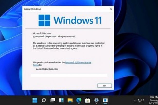 Windows 11 Pro 22000.318 21h2 (Pt-BR) Pré-ativado