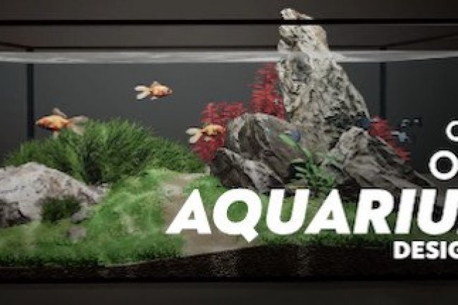 Aquarium Designer
