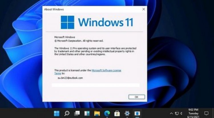 Windows 11 Pro 22000.318 21h2 (Pt-BR) Pré-ativado