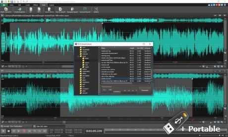 NCH WavePad v17.99 Final + Portable