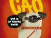 Um Dia de Cão - Rob Biddulph