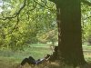 John Lennon & Plastic Ono Band (1970) (Remastered 2010)