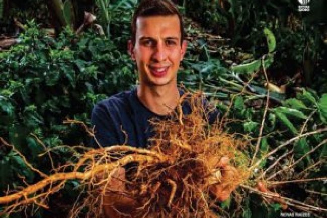 Globo Rural Ed 431 - Novembro 2021