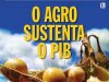 Dinheiro Rural Ed 175 - Julho/Agosto 2020