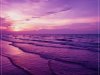 Chillout & Lounge Music (2021)
