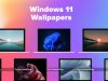 Windows 11 Wallpapers 2022