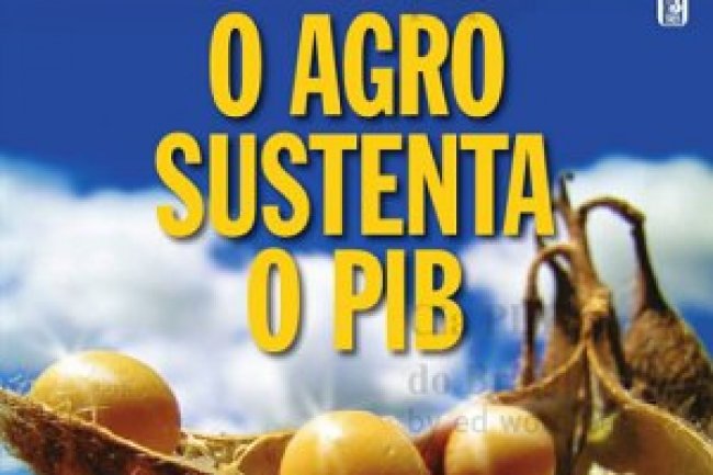 Dinheiro Rural Ed 175 - Julho/Agosto 2020