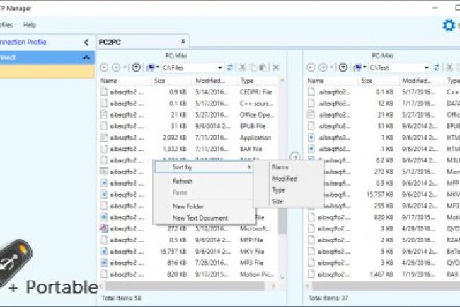 Auto FTP Manager 7.12 + Portable