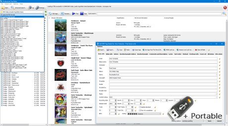 3delite Professional Tag Editor v1.0.122.125 + Portable