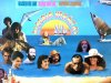 Alegria Verão 83 (1982)