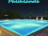 CARLIGHTS - Palmlands (2022)