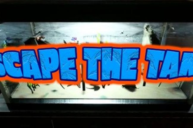 Escape The Tank