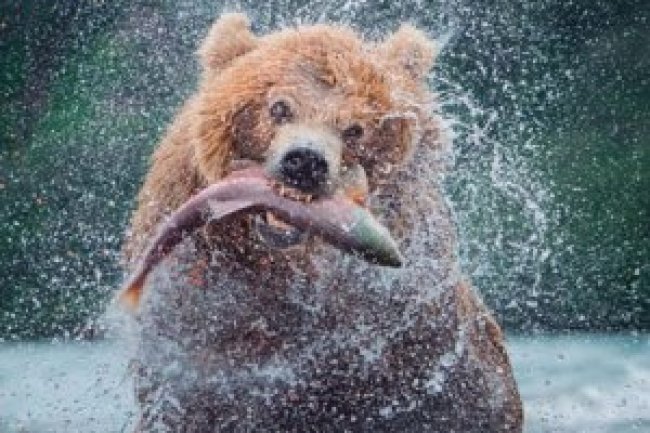 Fotografe Melhor Ed 304 - Janeiro 2022