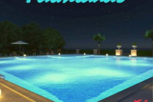 CARLIGHTS - Palmlands (2022)