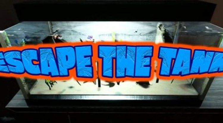 Escape The Tank