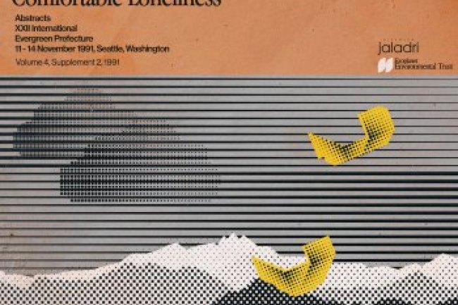 Hello Meteor - Comfortable Loneliness (2022)