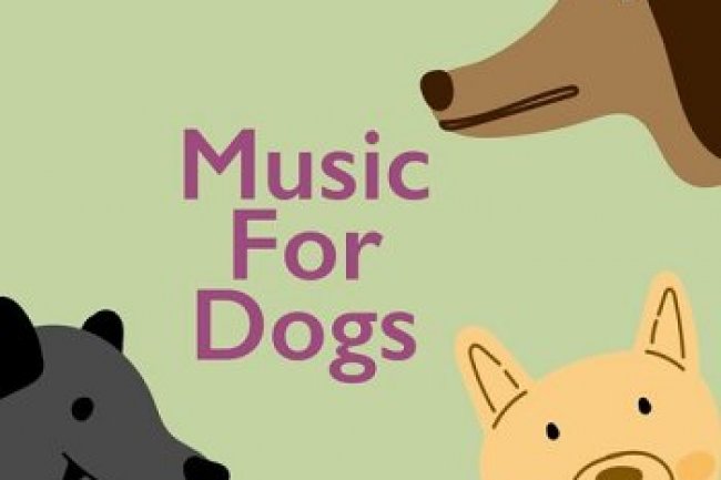 Music For Dogs (2022)