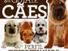 Guia de Cães - 1 Ed.