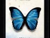 O Colecionador - John Fowles