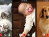 Silent Video [High Quality] 7.6.1 MOD [Premium Unlocked]