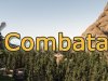 Combatant