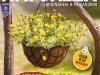 Natureza Ed 410