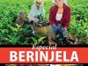 Coleção Delícia de Receita - Beringela