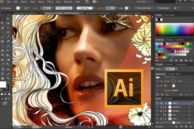 Adobe Illustrator 2025 v29.8.1.2 Multilingual