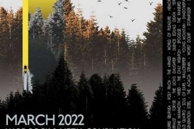 Hallucinate (2022)