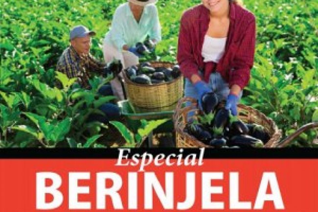 Coleção Delícia de Receita - Beringela