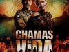 Chamas Da Vida [Trilha Sonora Extraída Da Novela] (2008)