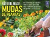 Natureza Ed 411