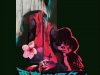 Deadly Avenger - Blossoms and Blood (2017)