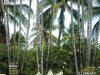 Paisagismo & Jardinagem - Abril 2022