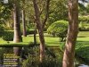 Paisagismo & Jardinagem - Março 2022