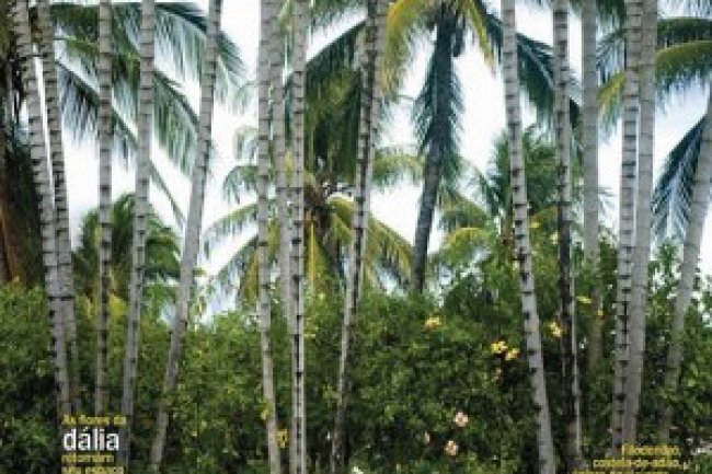 Paisagismo & Jardinagem - Abril 2022